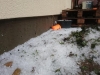 Winter im Sommer ...