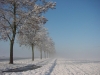Winterstimmung