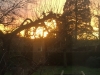 Sundowner