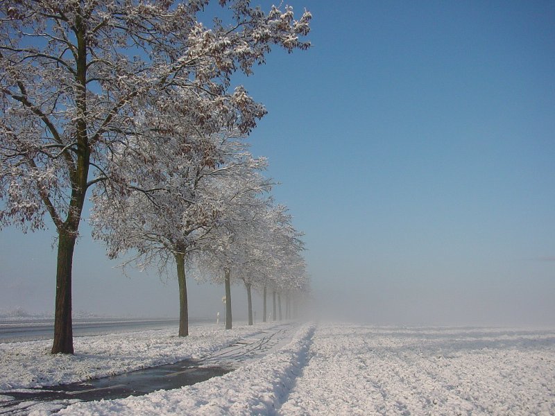 Winterimpressionen · © Eric Fröhlich