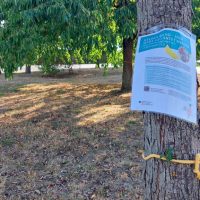 Obstbaum mit gelbem Band